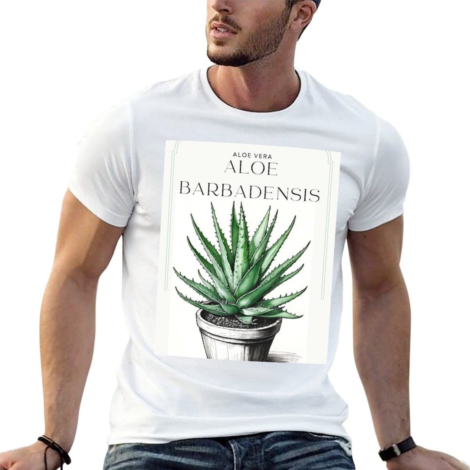 Aloe Vera Pot - Botaniczna Aloe Vera w doniczce, rustykalny