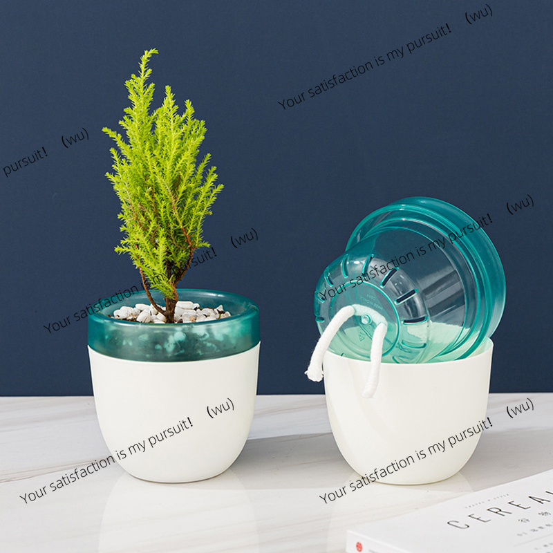 Aloe Vera Pot - Automatyczna doniczka samozraszająca się, bez konieczności