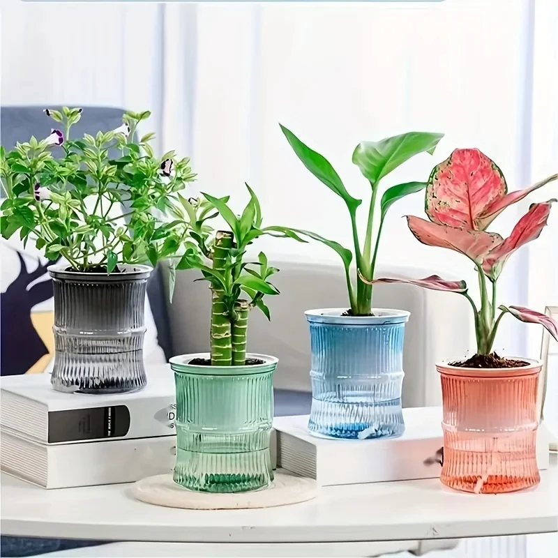 Aloe Vera Pot - Przezroczysta, dwuwarstwowa, samonawadniająca doniczka, leniwa hydroponiczna