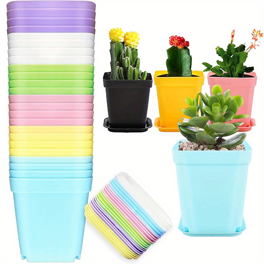 Aloe Vera Pot - 12 szt. Plastikowych kwadratowych doniczek 7