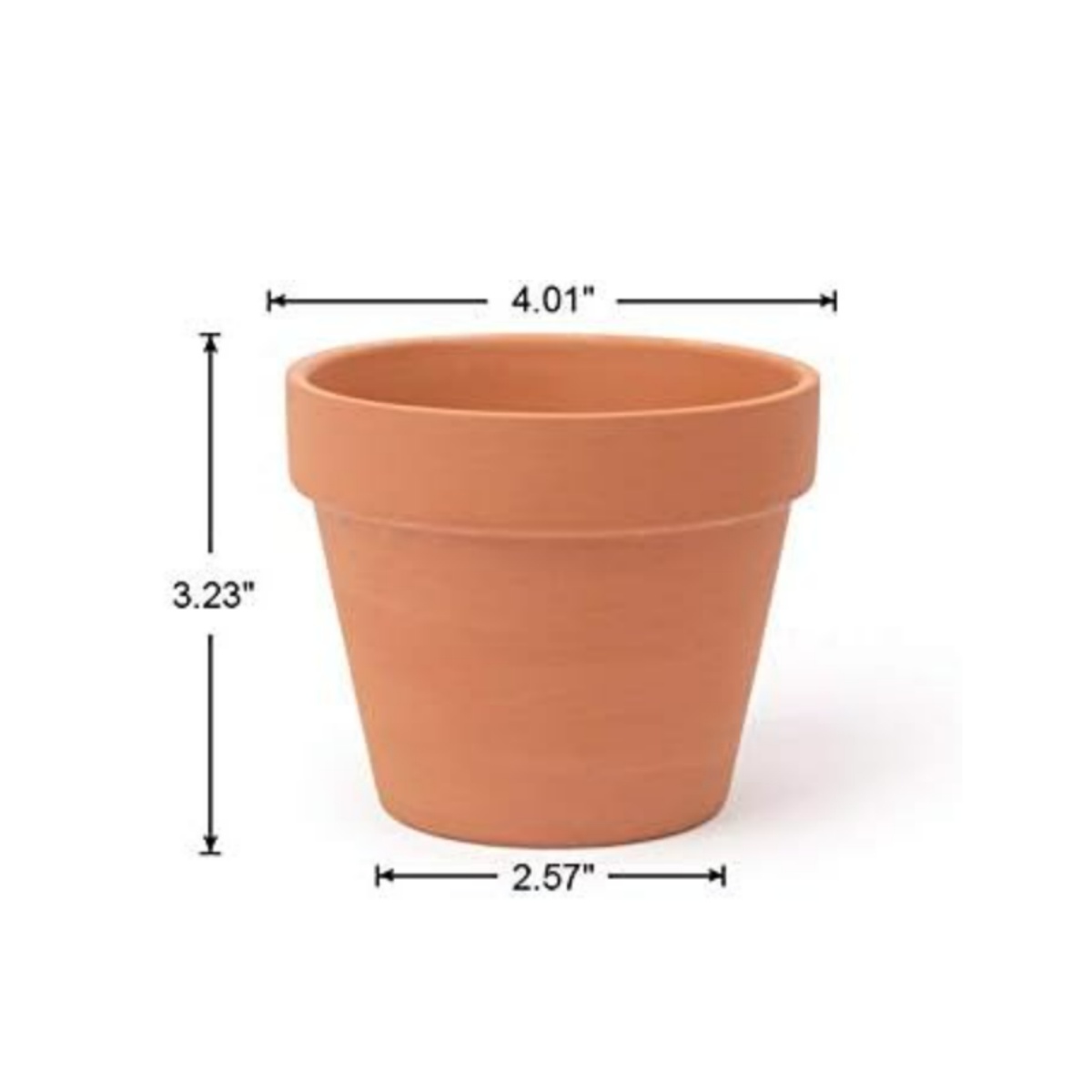 6 sztuk 4-calowych doniczek z  – Echeveria Succulent recenzja i cena