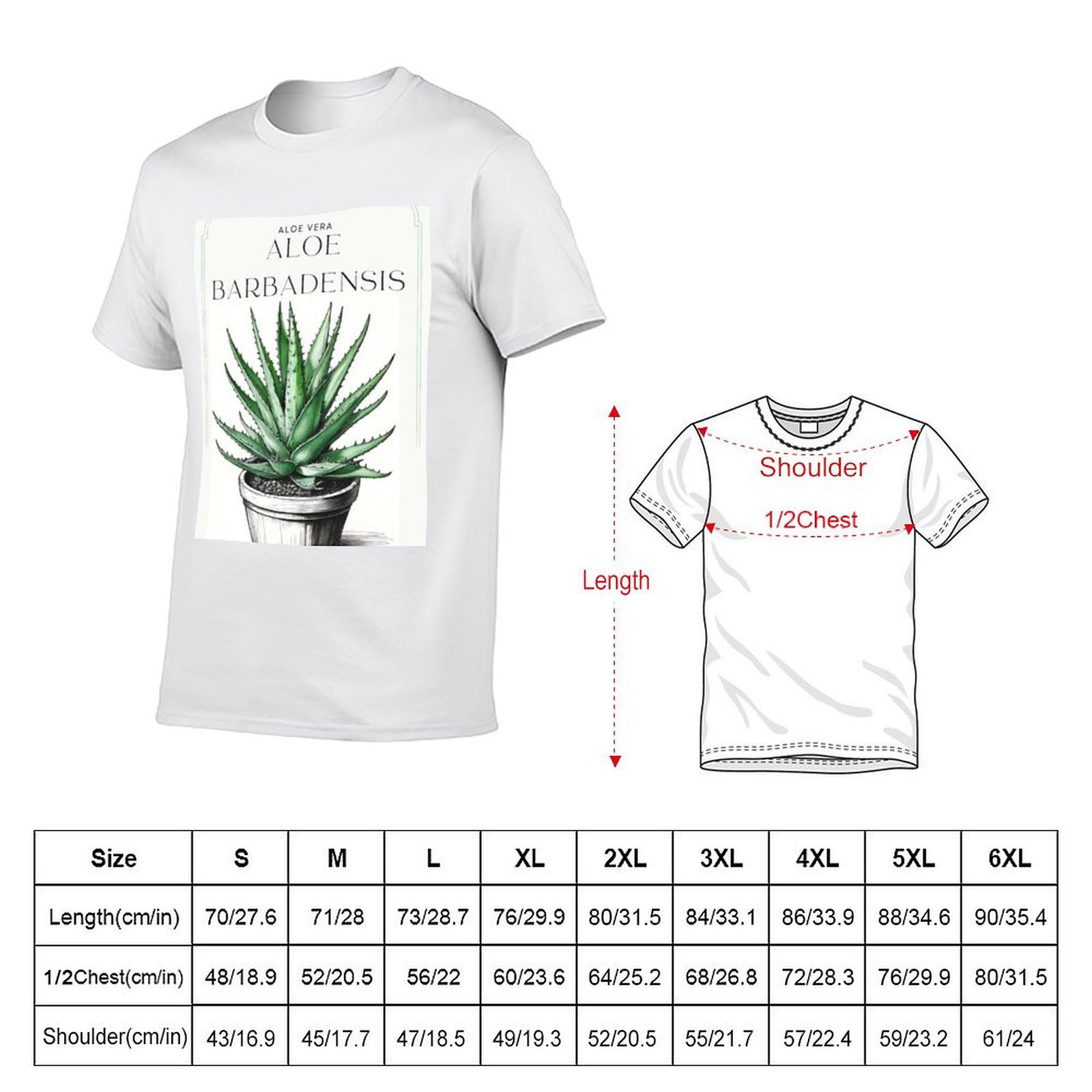 Botaniczna Aloe Vera w doniczc – Aloe Vera Pot recenzja i cena