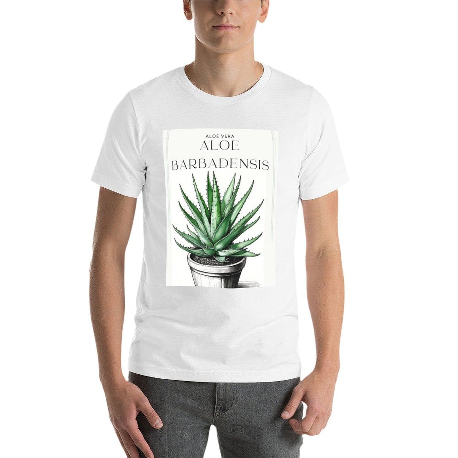 Botaniczna Aloe Vera w doniczc – Aloe Vera Pot recenzja i cena