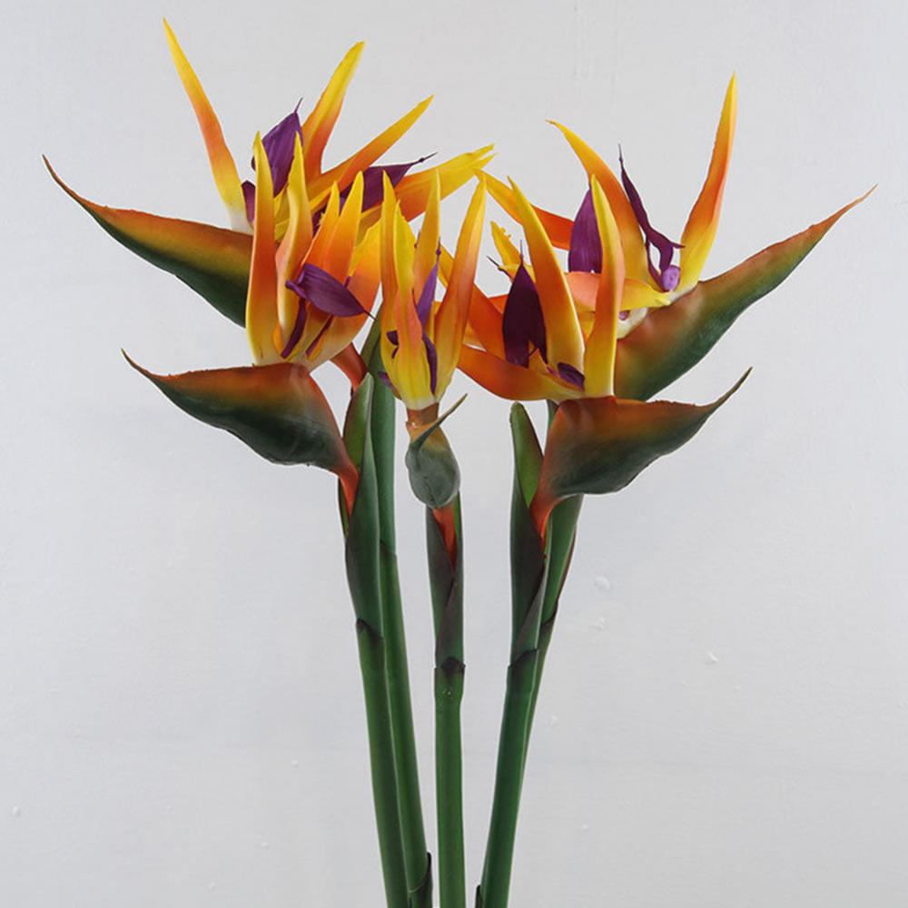 1szt 80cm Kwiat Rajska Ptak Sz – Bird Paradise Strelitzia recenzja i cena