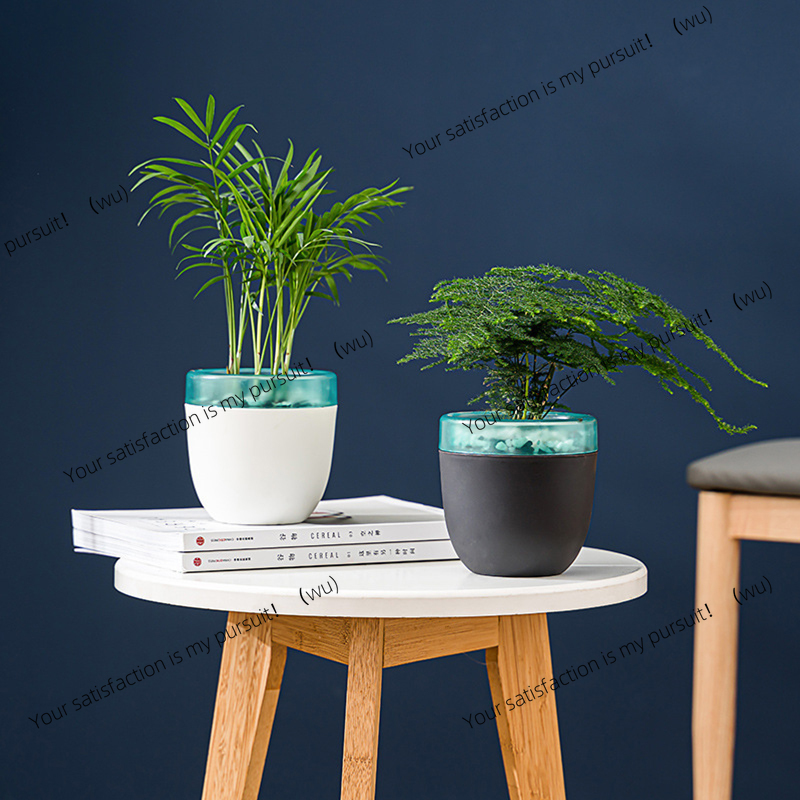 Automatyczna doniczka samozras – Aloe Vera Pot recenzja i cena