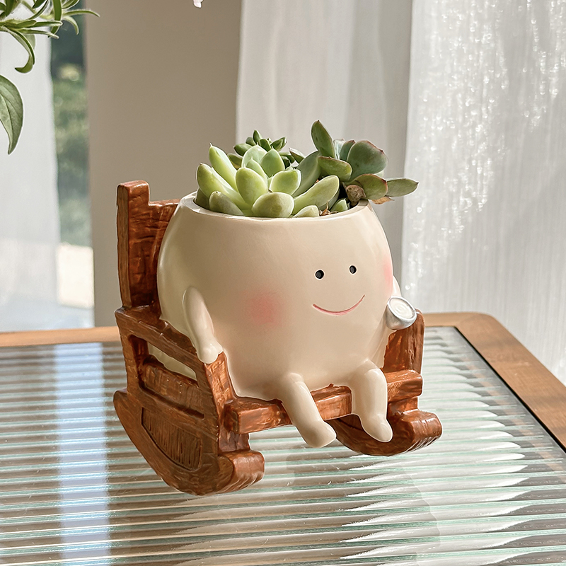 Stylowa, urocza doniczka na su – Echeveria Succulent recenzja i cena