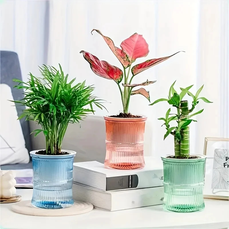 Przezroczysta, dwuwarstwowa, s – Aloe Vera Pot recenzja i cena