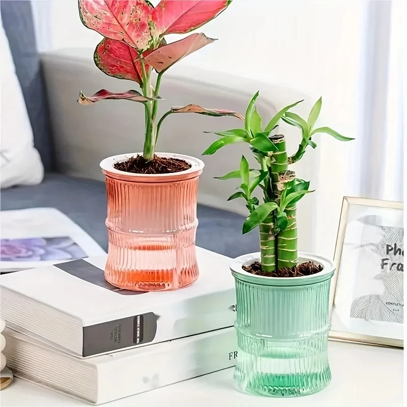 Przezroczysta, dwuwarstwowa, s – Aloe Vera Pot recenzja i cena