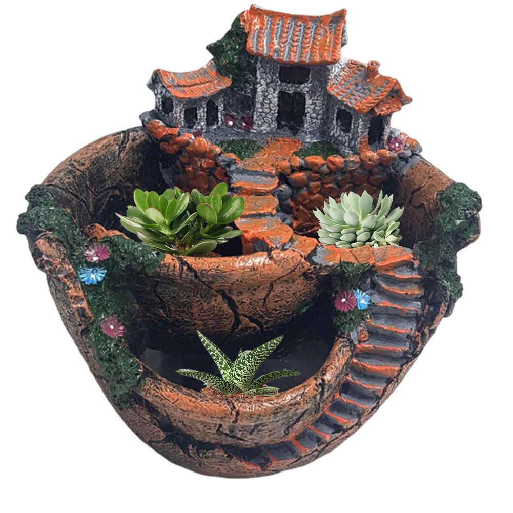 Doniczka na sukulenty w stylu  – Echeveria Succulent recenzja i cena