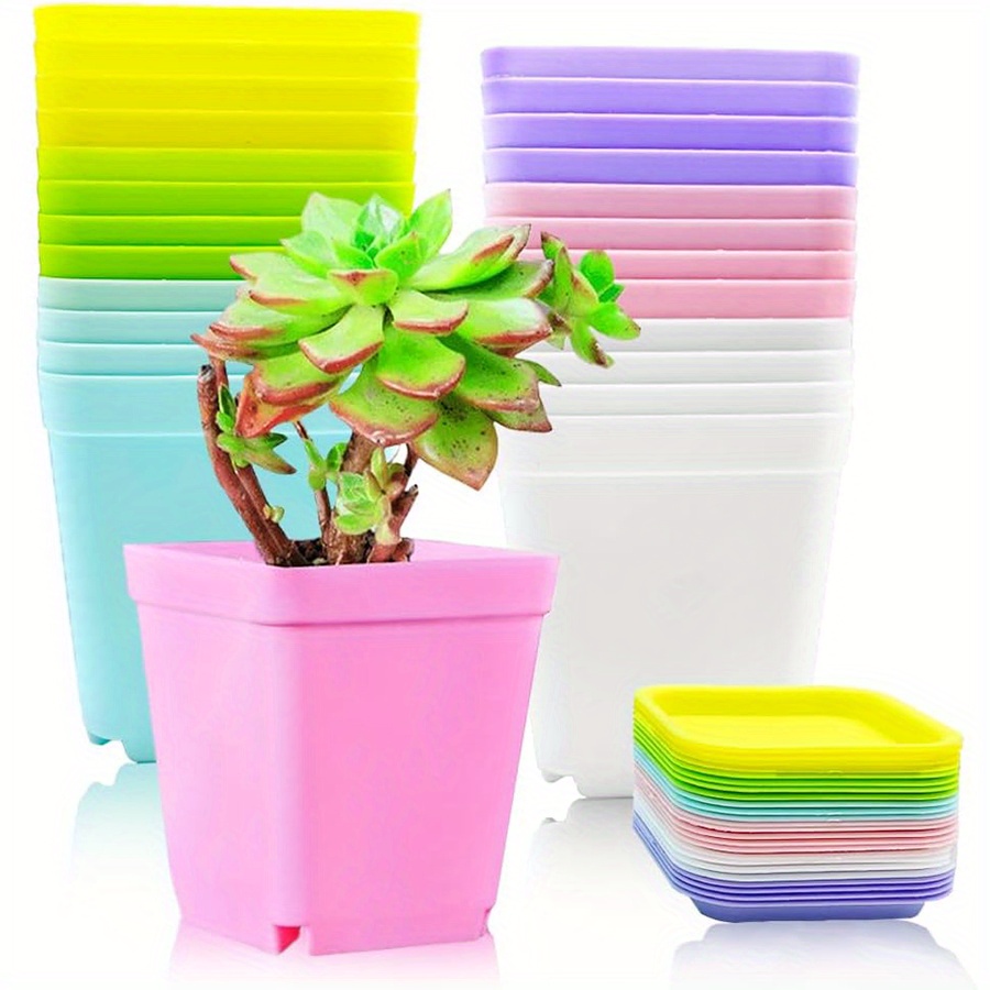 12 szt. Plastikowych kwadratow – Aloe Vera Pot recenzja i cena